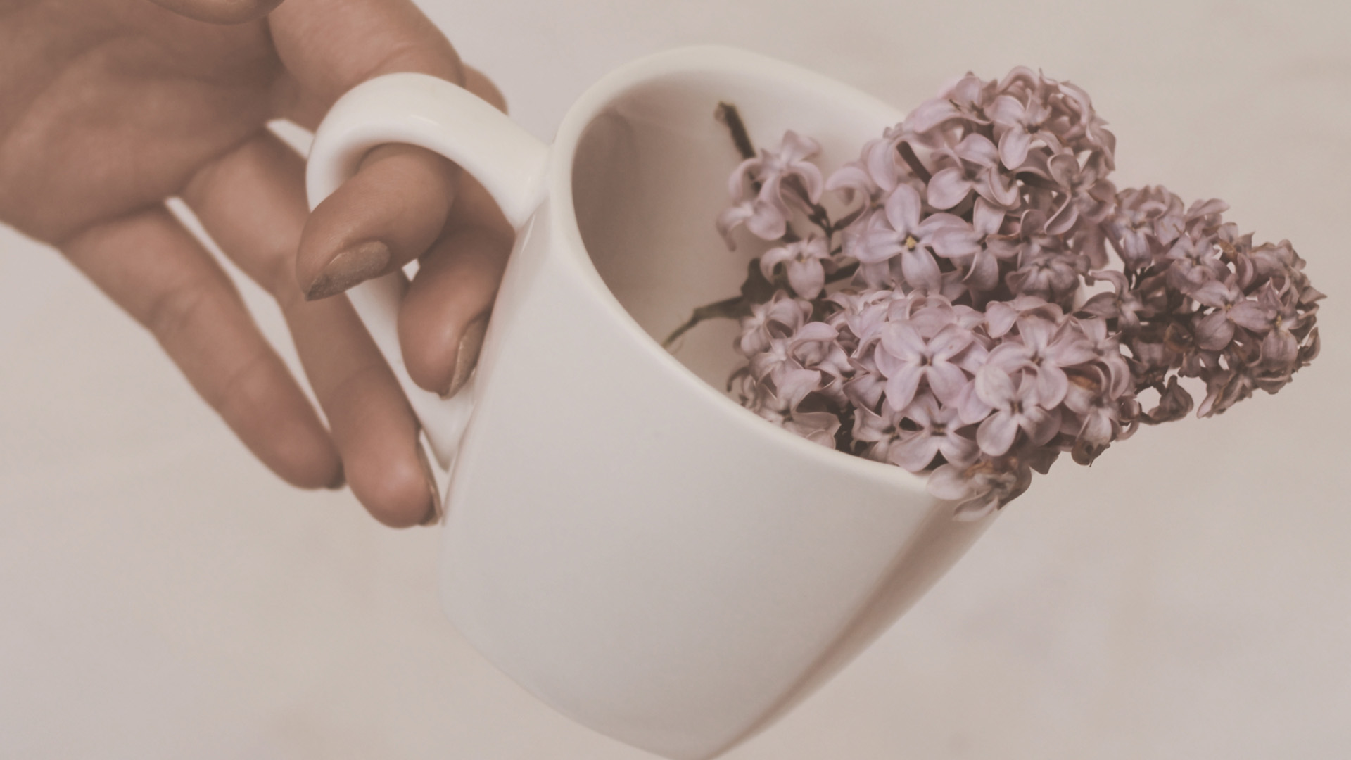 Mouette Flowers first screen backgroung photo