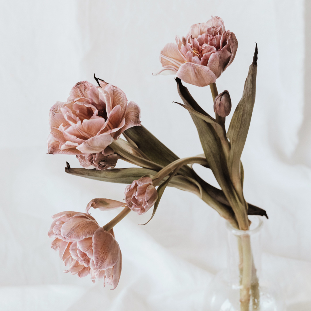 Mouette Flowers third screen photo