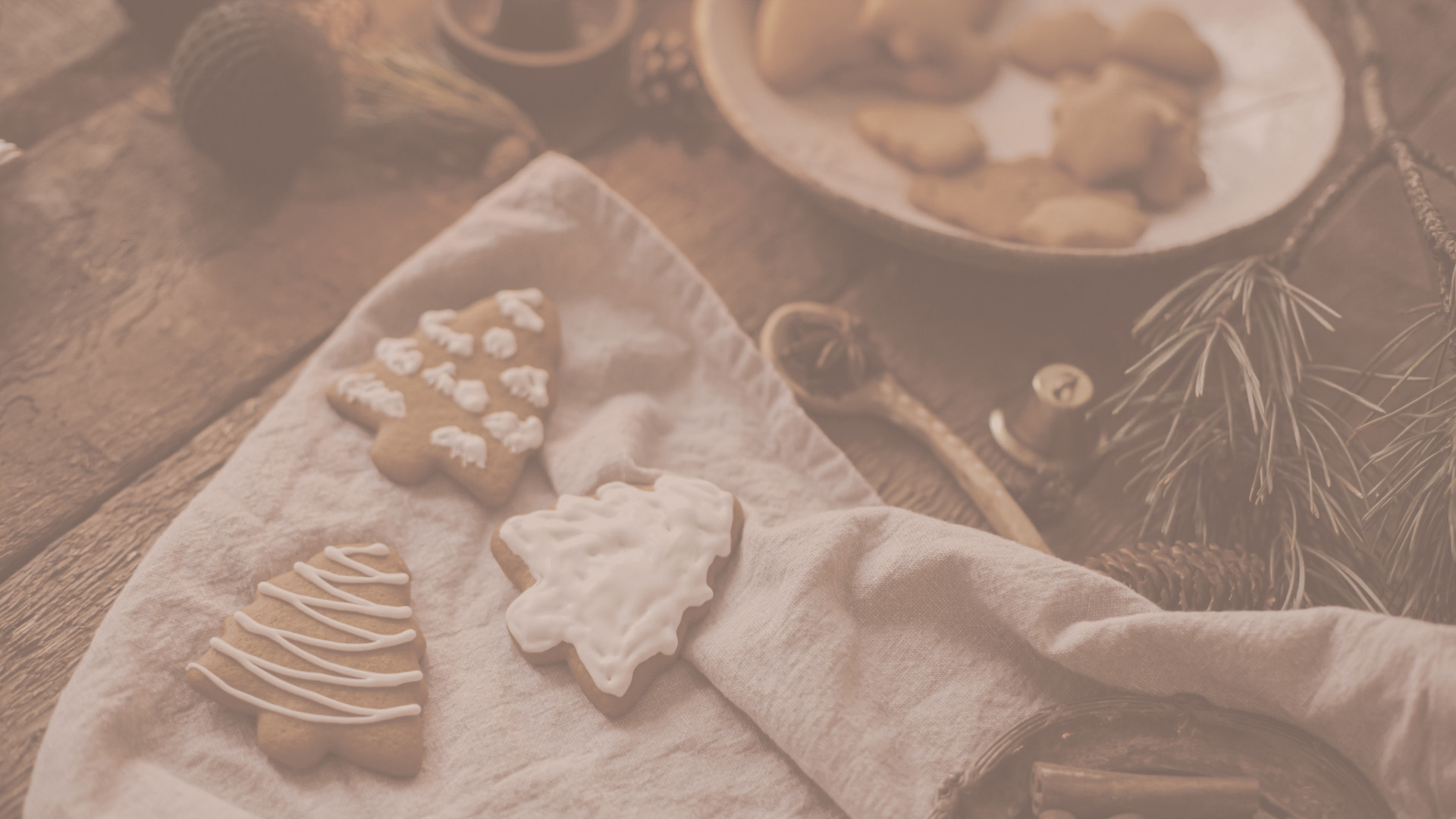 Mouette seasonal-holidays first screen backgroung photo