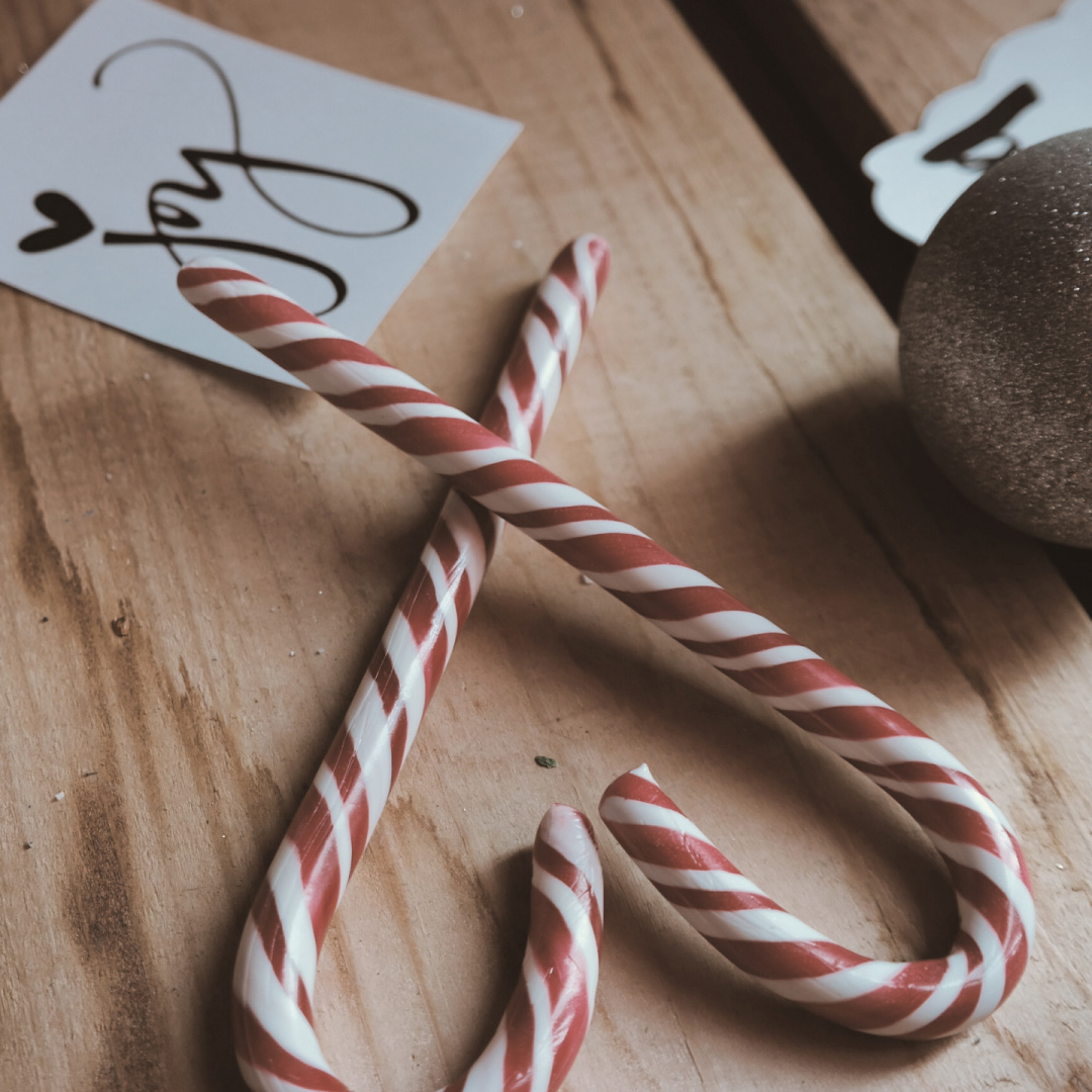 Mouette seasonal-holidays third screen photo